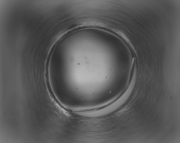 X0000054380799200508011252