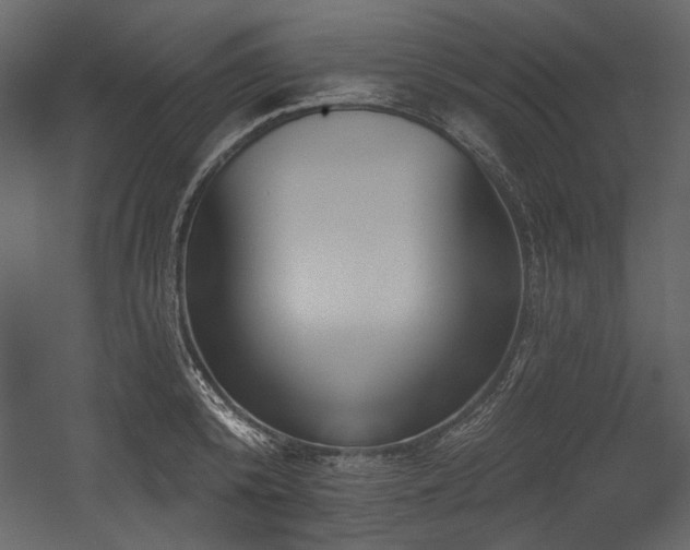 X0000054380800200508011252