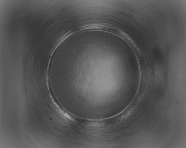 X0000054380802200508011252