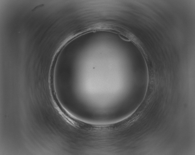 X0000054380803200508011252