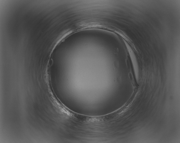 X0000054380806200508011252