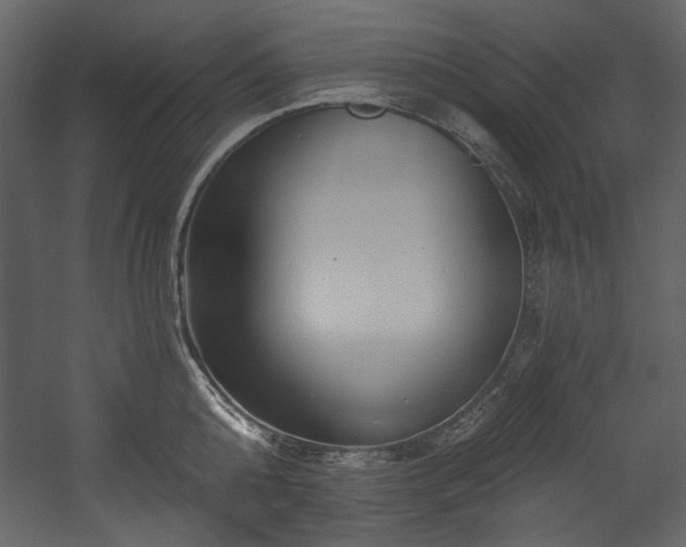 X0000054380808200508011252
