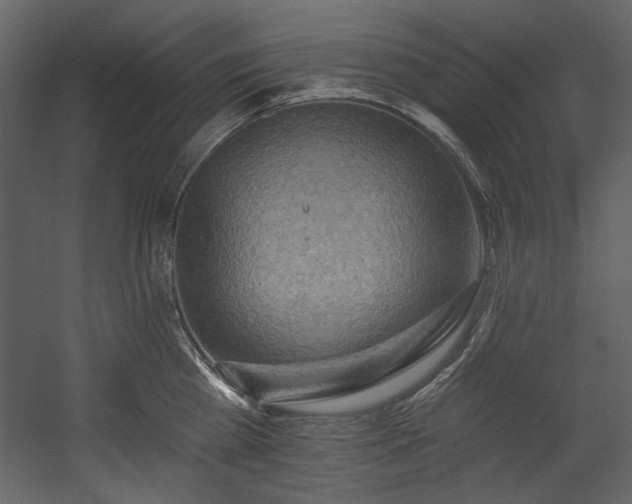 X0000054380809200508011252