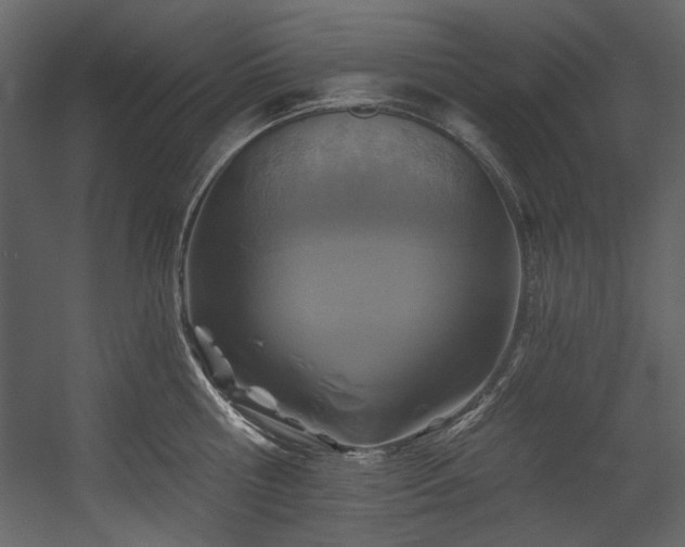 X0000054380810200508011252