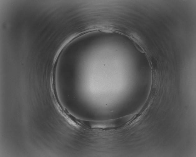 X0000054380812200508011252