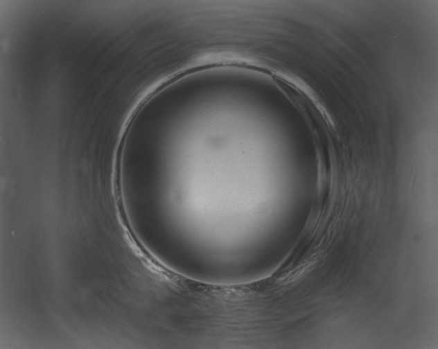 X0000054380815200508011252