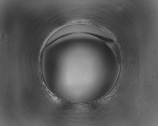 X0000054380816200508011252