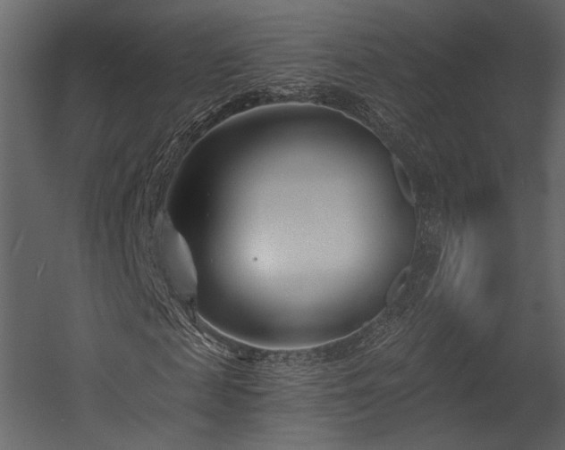 X0000054380817200508011251