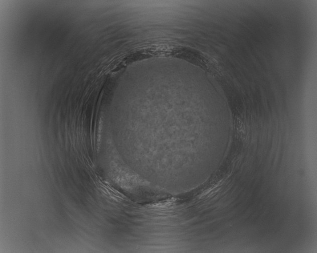 X0000054380818200508011251