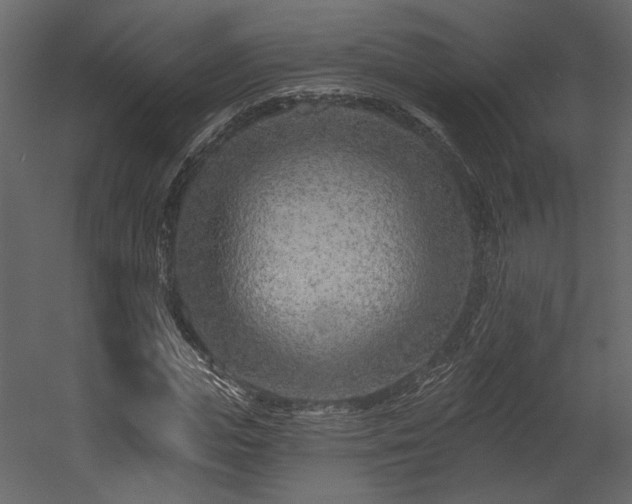 X0000054380823200508011251