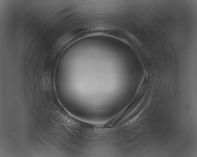 X0000054380825200508011251