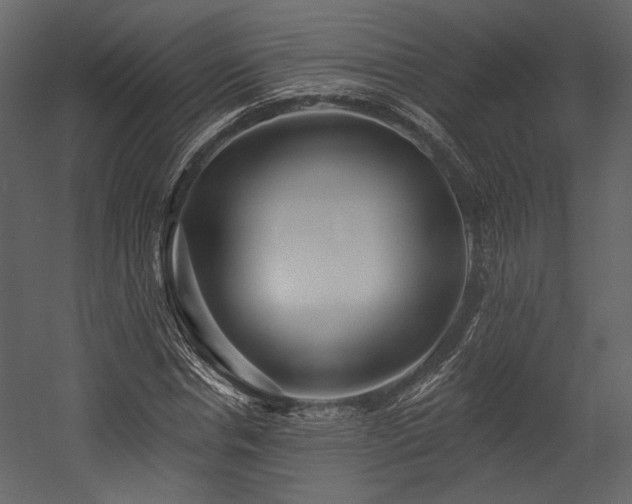 X0000054380826200508011251