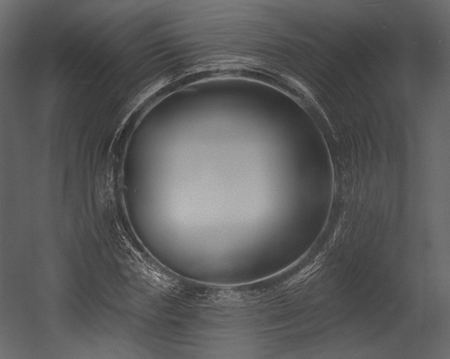 X0000054380827200508011251
