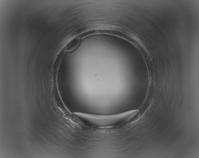 X0000054380829200508011251