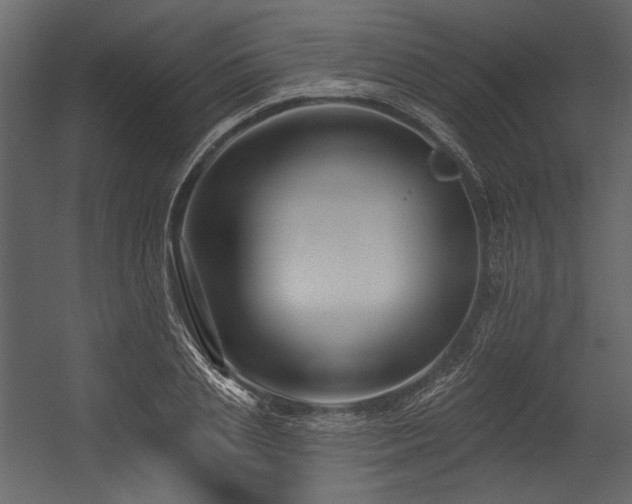 X0000054380837200508011251