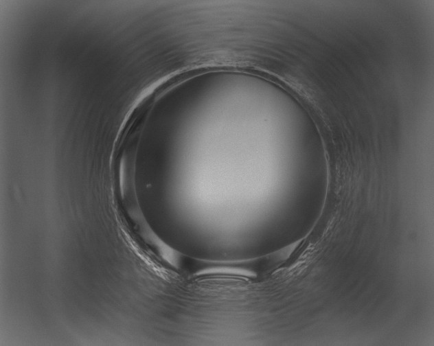 X0000054380838200508011251