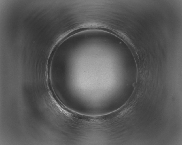 X0000054380839200508011251