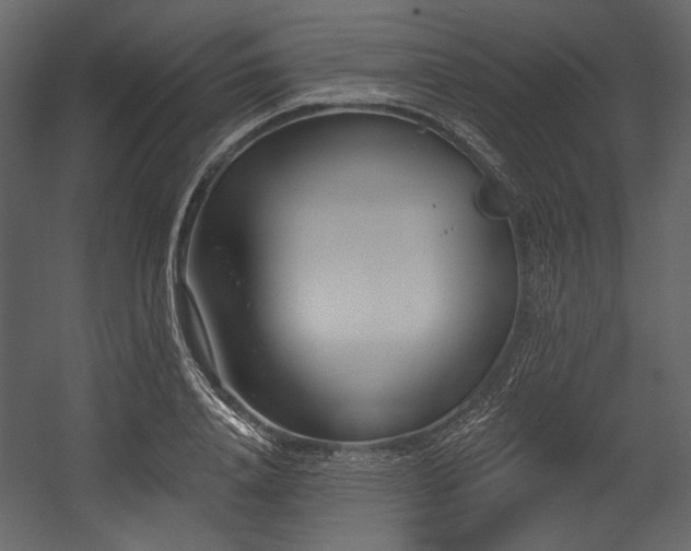 X0000054380840200508011251