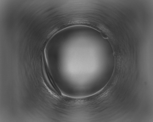 X0000054380841200508011251