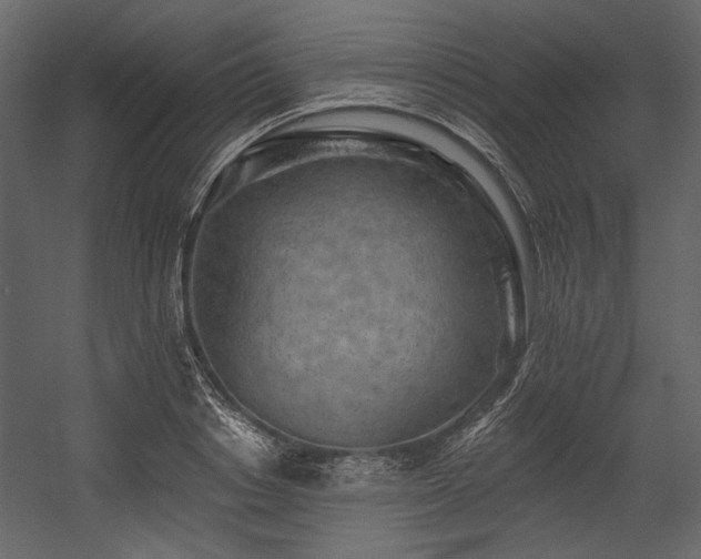 X0000054380842200508011251