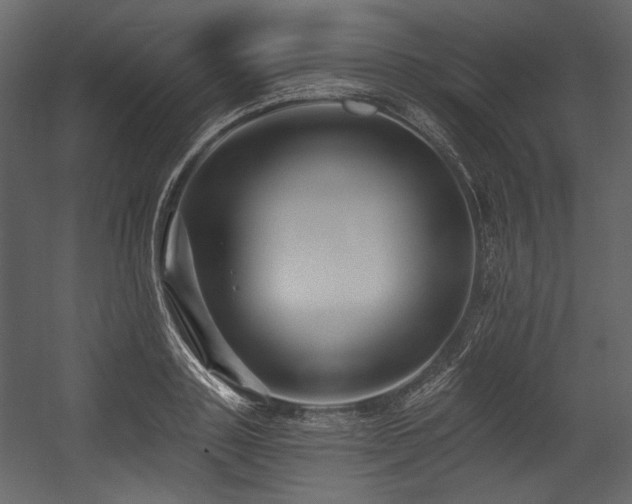 X0000054380843200508011251