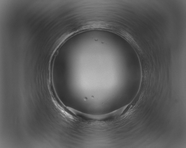 X0000054380844200508011251