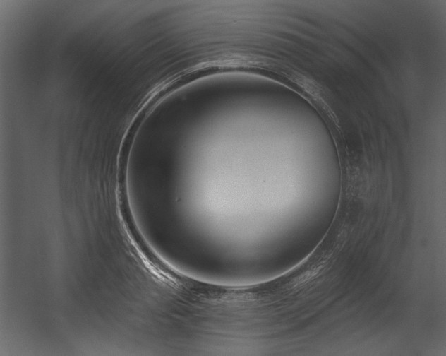 X0000054380845200508011251