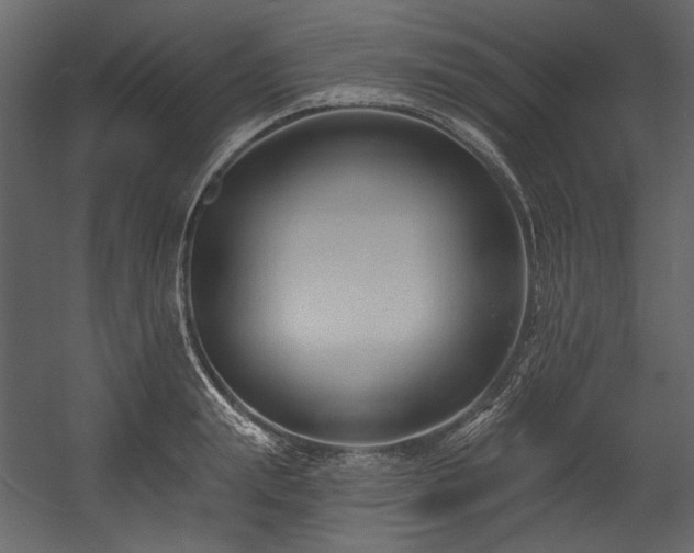 X0000054380847200508011251