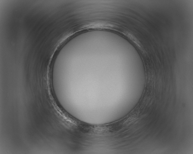 X0000054380848200508011251