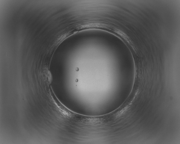 X0000054380849200508011252