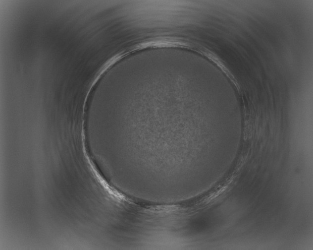 X0000054380853200508011252