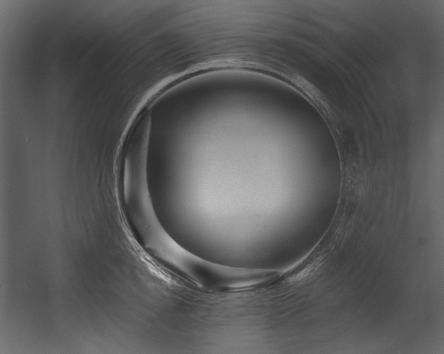 X0000054380854200508011252