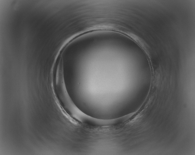 X0000054380862200508011252