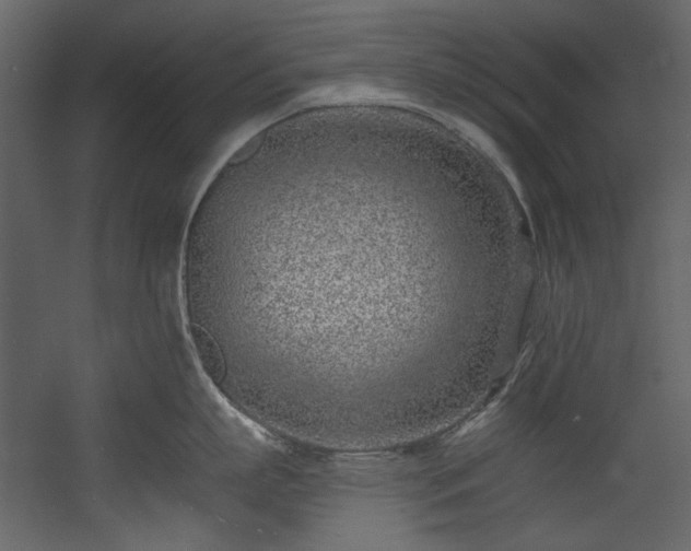 X0000054380863200508011252