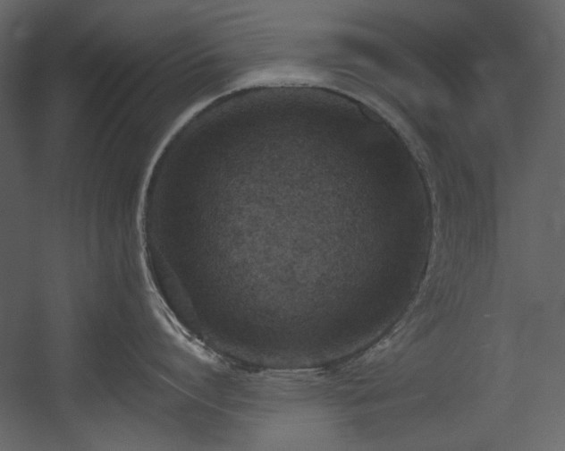 X0000054380864200508011252