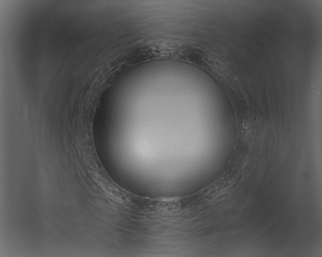 X0000054380865200508011251