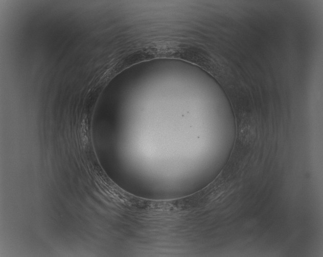 X0000054380866200508011251