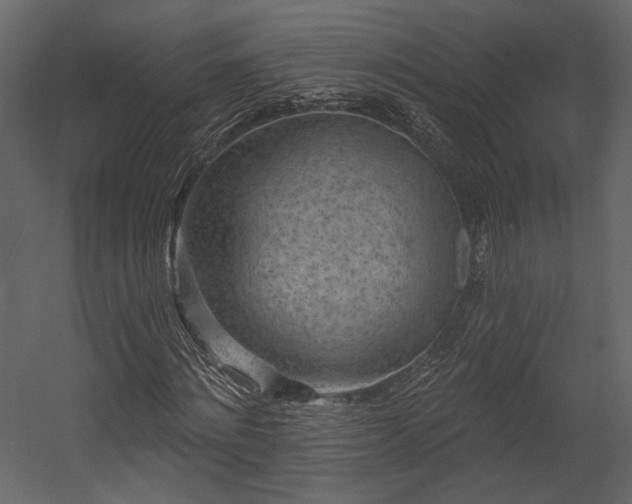 X0000054380868200508011251