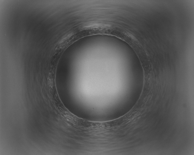 X0000054380869200508011251