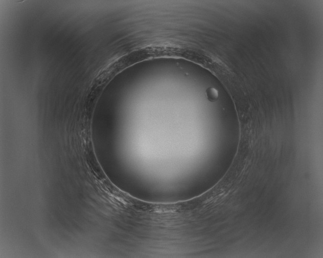 X0000054380870200508011251