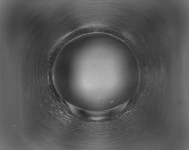 X0000054380872200508011251