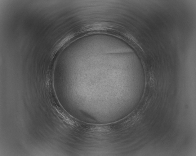 X0000054380874200508011251