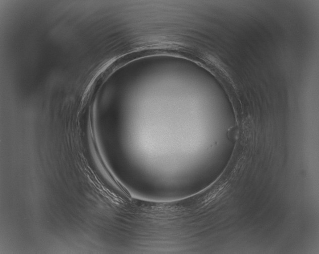 X0000054380875200508011251