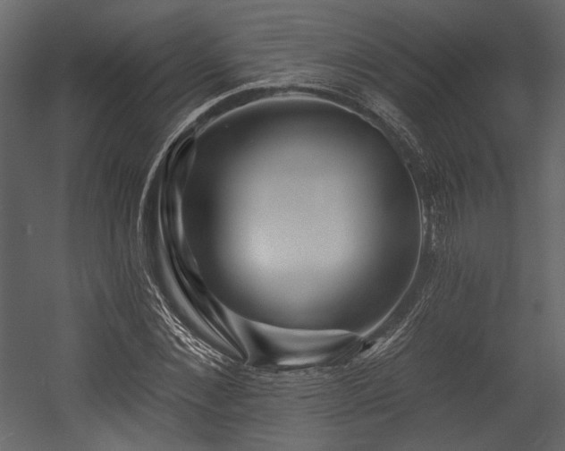 X0000054380876200508011251