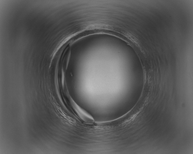X0000054380877200508011251