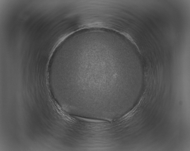 X0000054380879200508011251