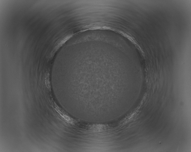 X0000054380881200508011251