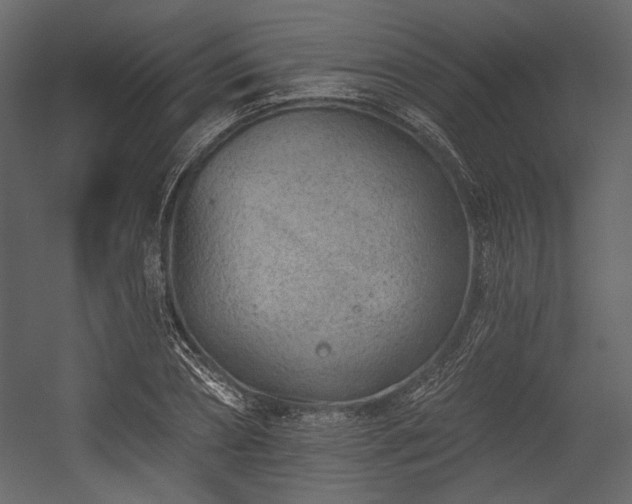 X0000054380882200508011251