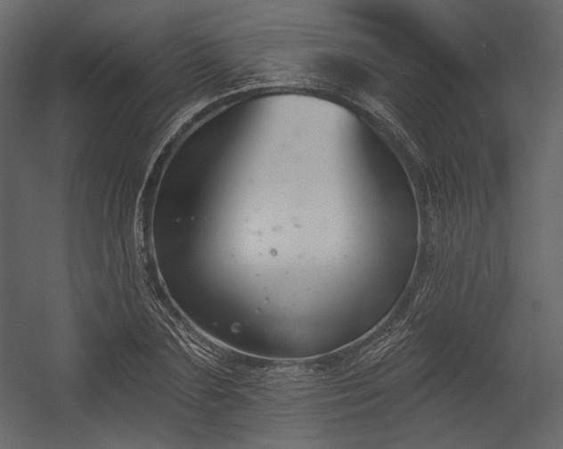 X0000054380883200508011251
