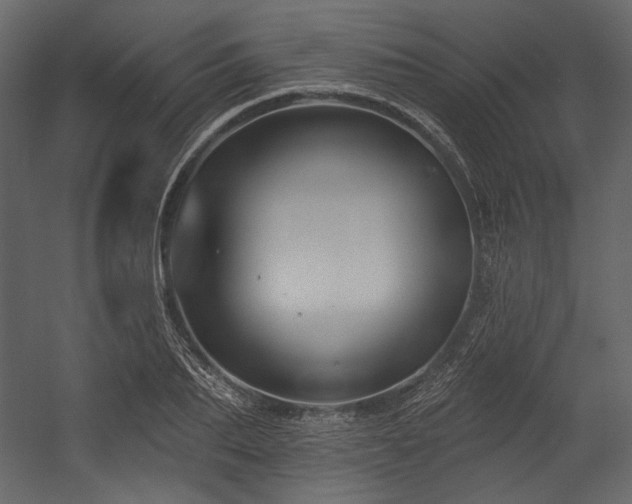 X0000054380887200508011251
